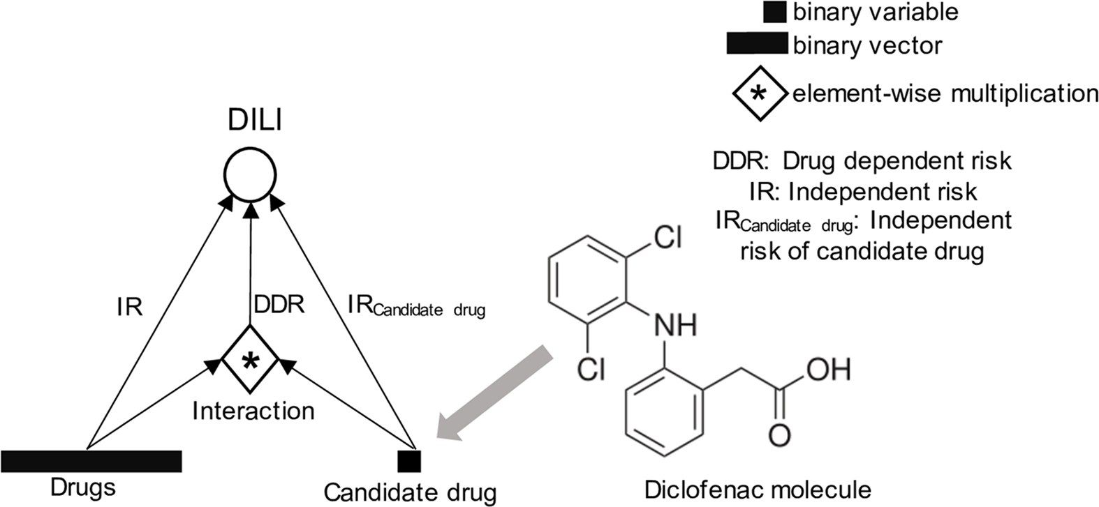 Diagram of the drug interaction network: a candidate drug such as diclofenac and a patient’s other drugs feed independent-risk and interaction terms that together predict drug-induced liver injury.