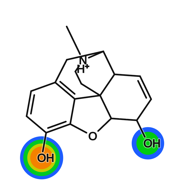 Morphine with its hydroxyl groups highlighted as predicted sites of glucuronidation.