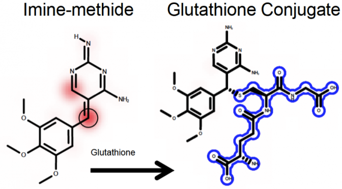Site of Reactivity Models Predict Molecular Reactivity of Diverse Chemicals with Glutathione